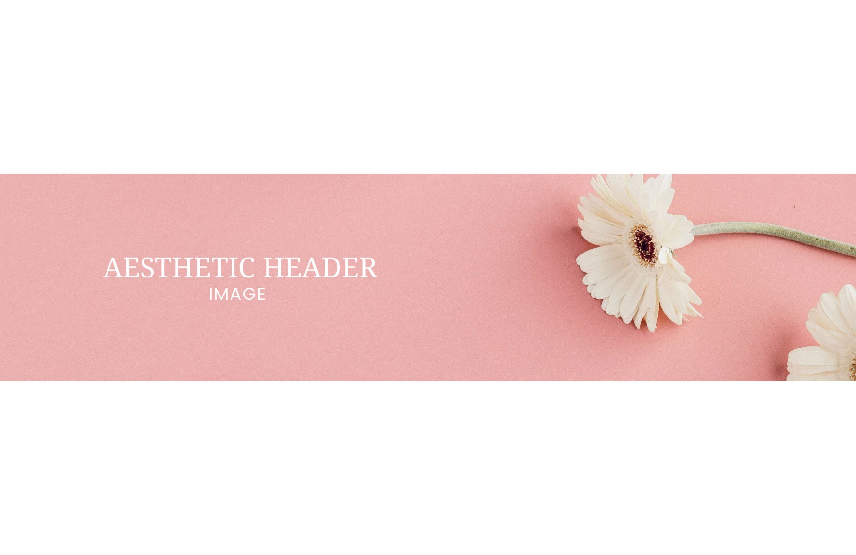 Aesthetic Header Image Template