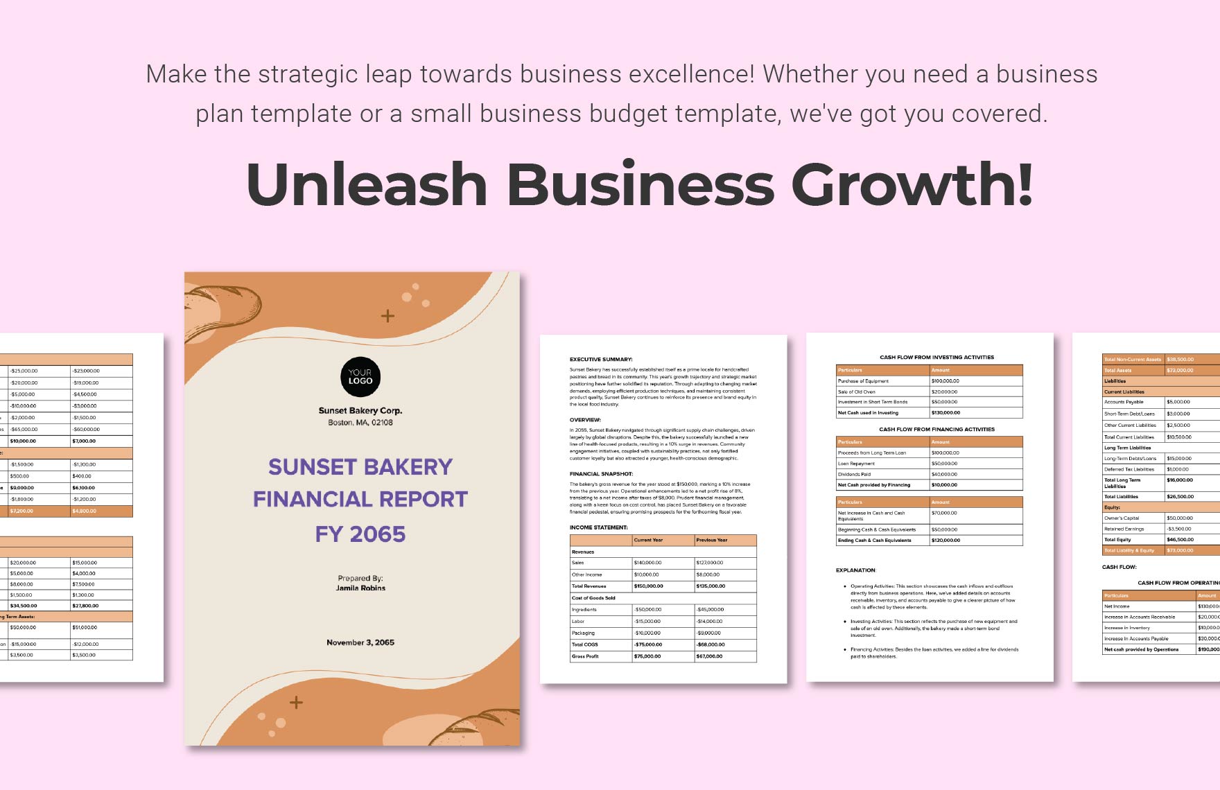 Small Business Financial Report Template