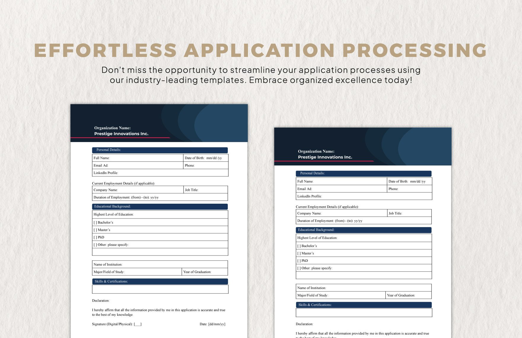 Fillable Application Template