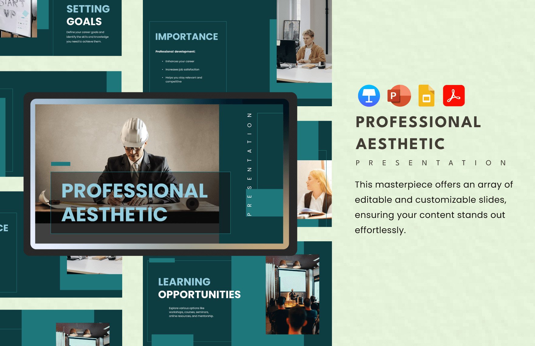 Professional Aesthetic in PDF, PowerPoint, Google Slides, Apple Keynote