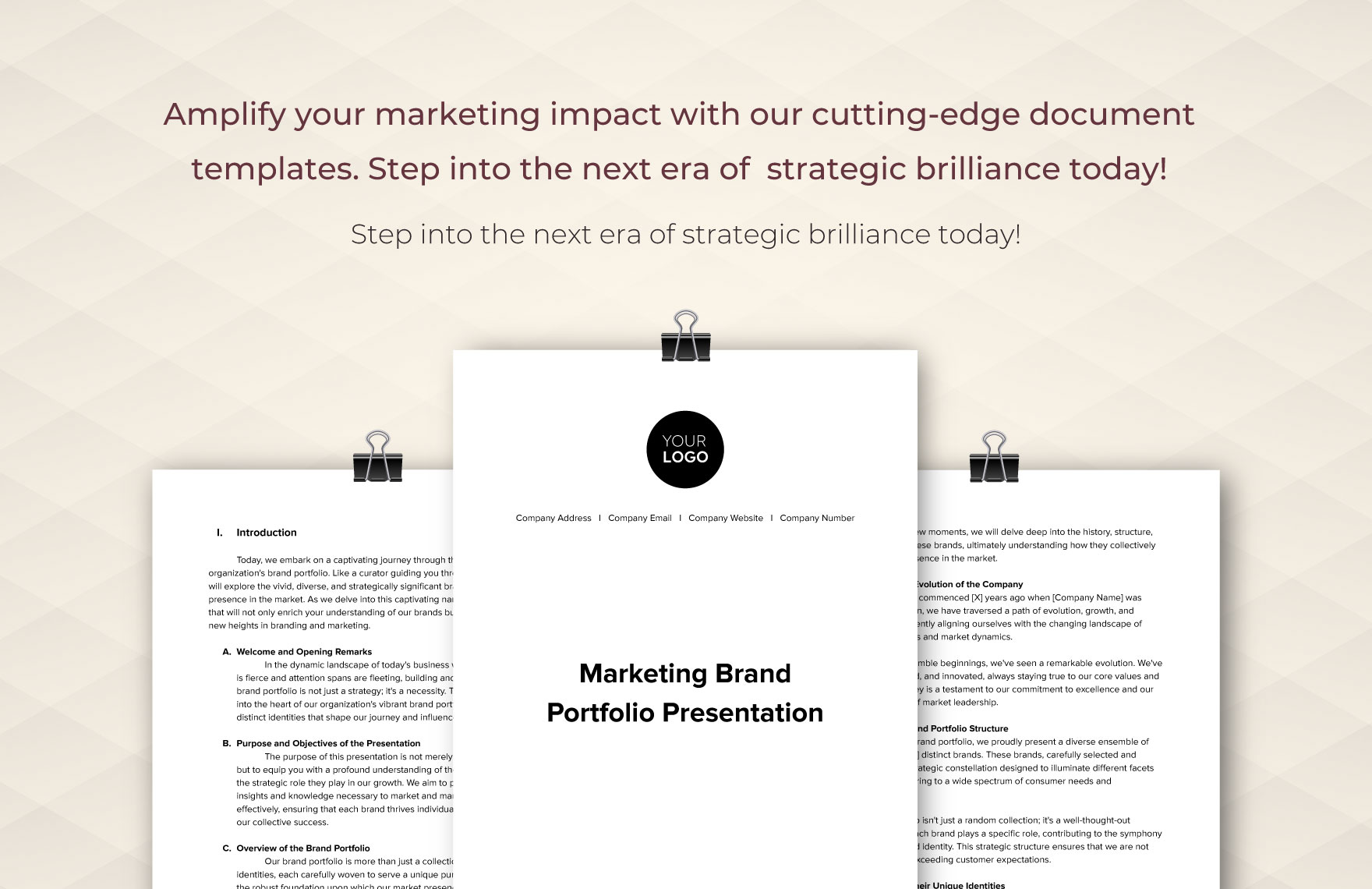 Marketing Brand Portfolio Presentation Template