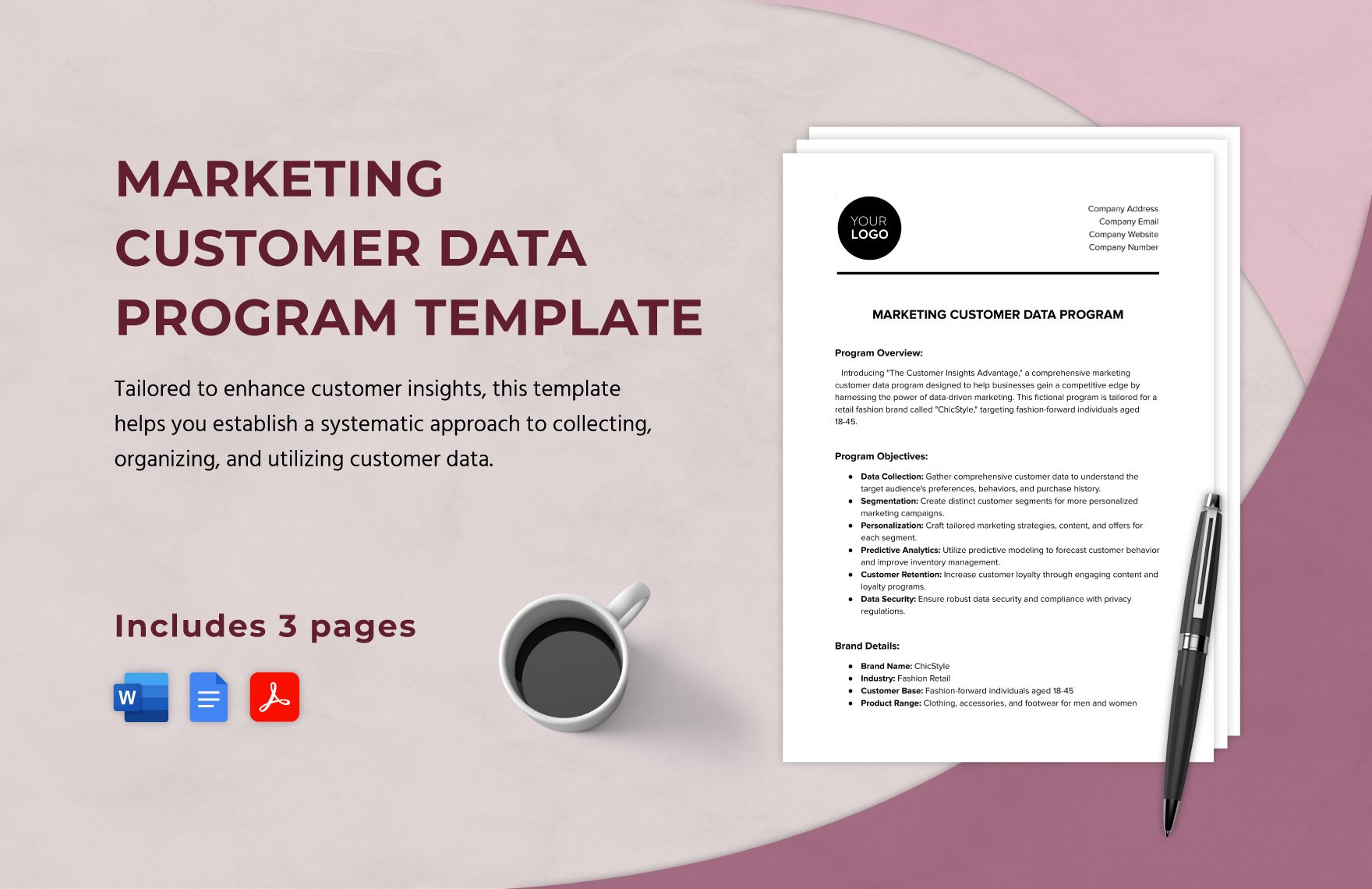 Marketing Customer Data Program Template in Word, Google Docs, PDF
