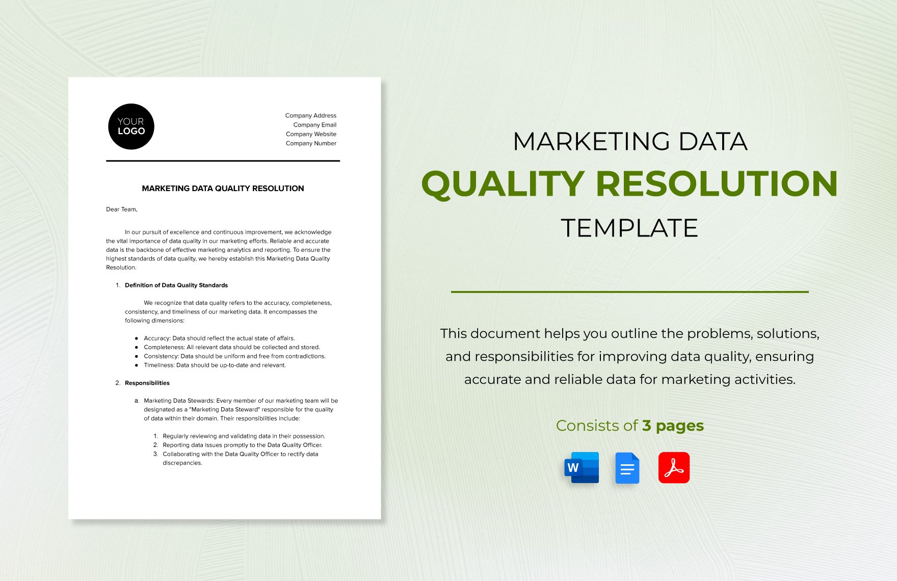 Marketing Data Quality Resolution Template
