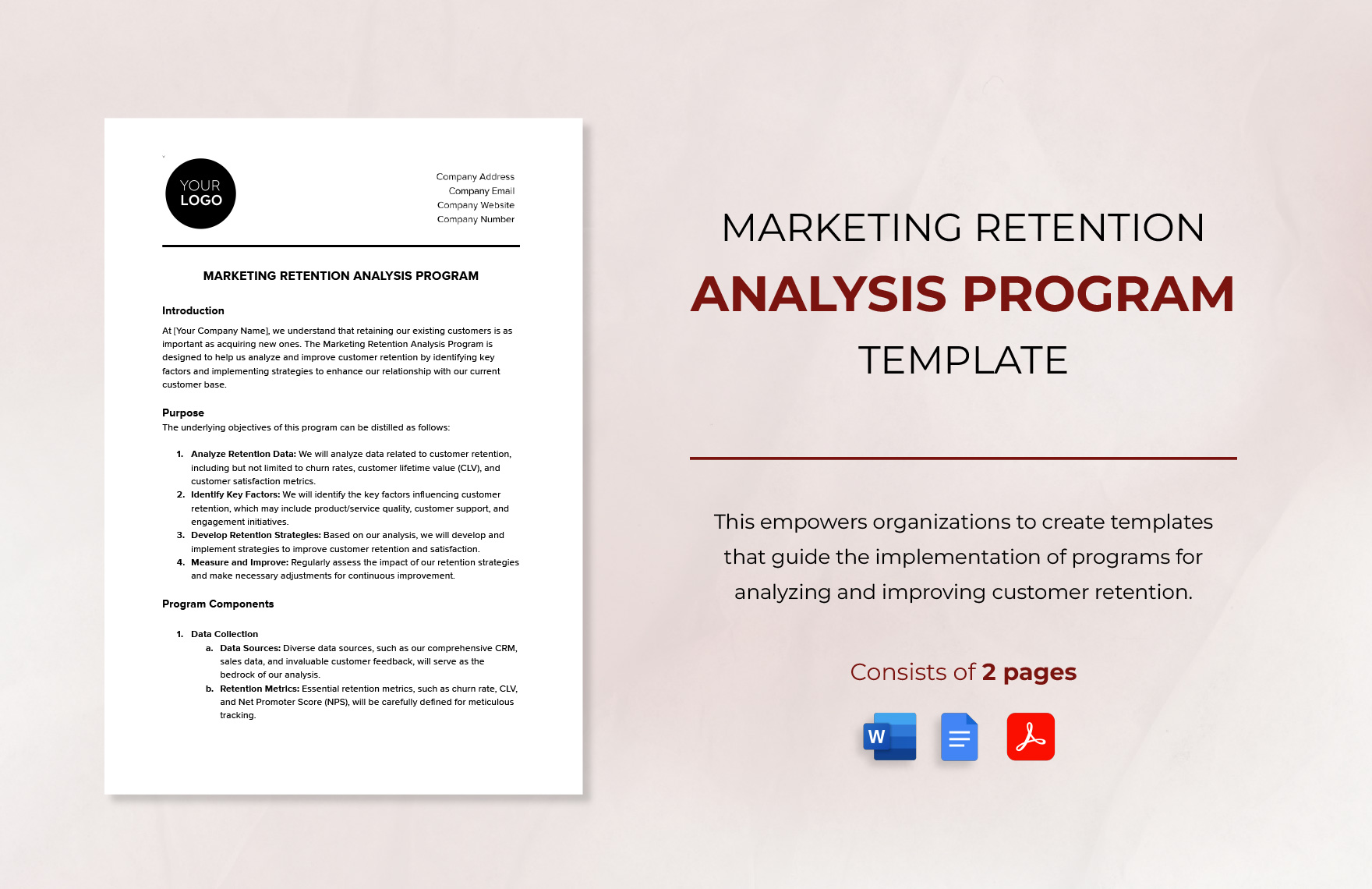 Marketing Retention Analysis Program Template in Word, Google Docs, PDF