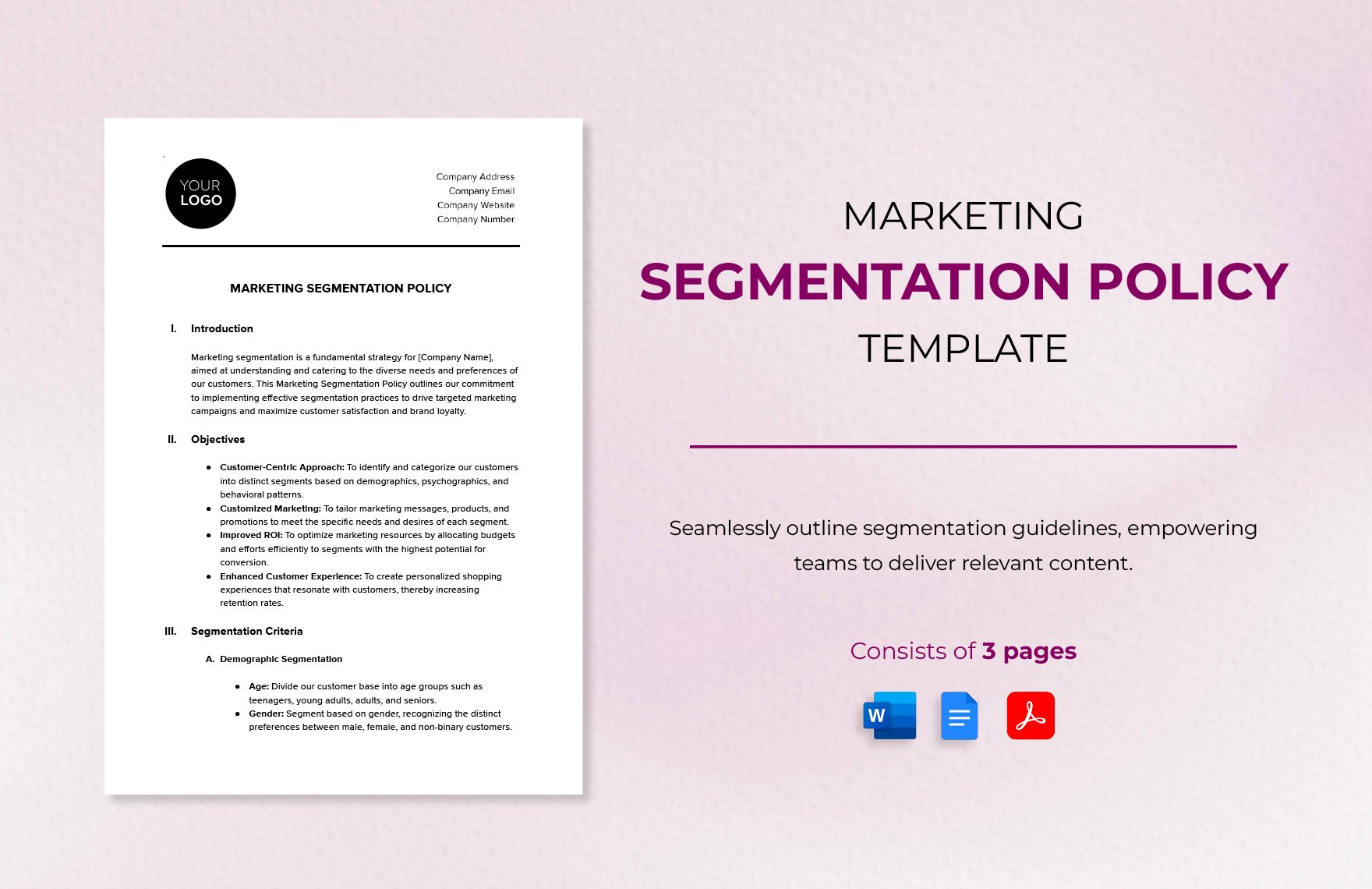 Marketing Segmentation Policy Template in Word, Google Docs, PDF