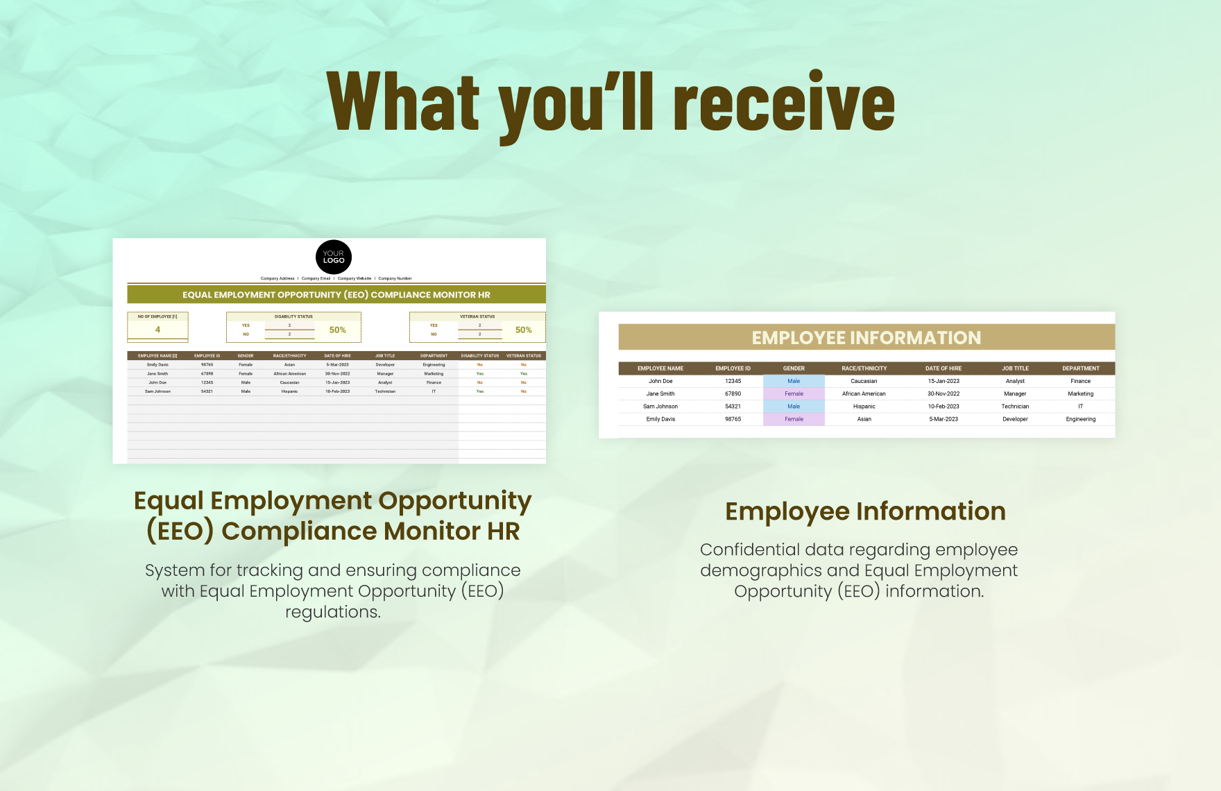 Equal Employment Opportunity (EEO) Compliance Monitor HR Template