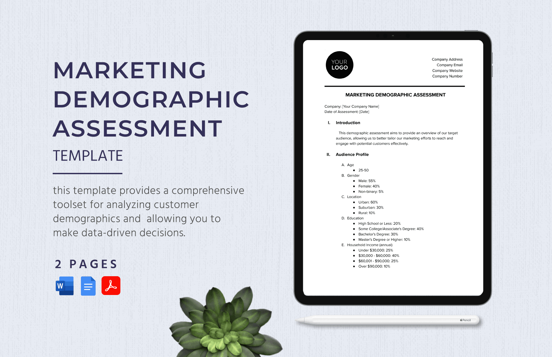 Marketing Demographic Assessment Template in Word, Google Docs, PDF