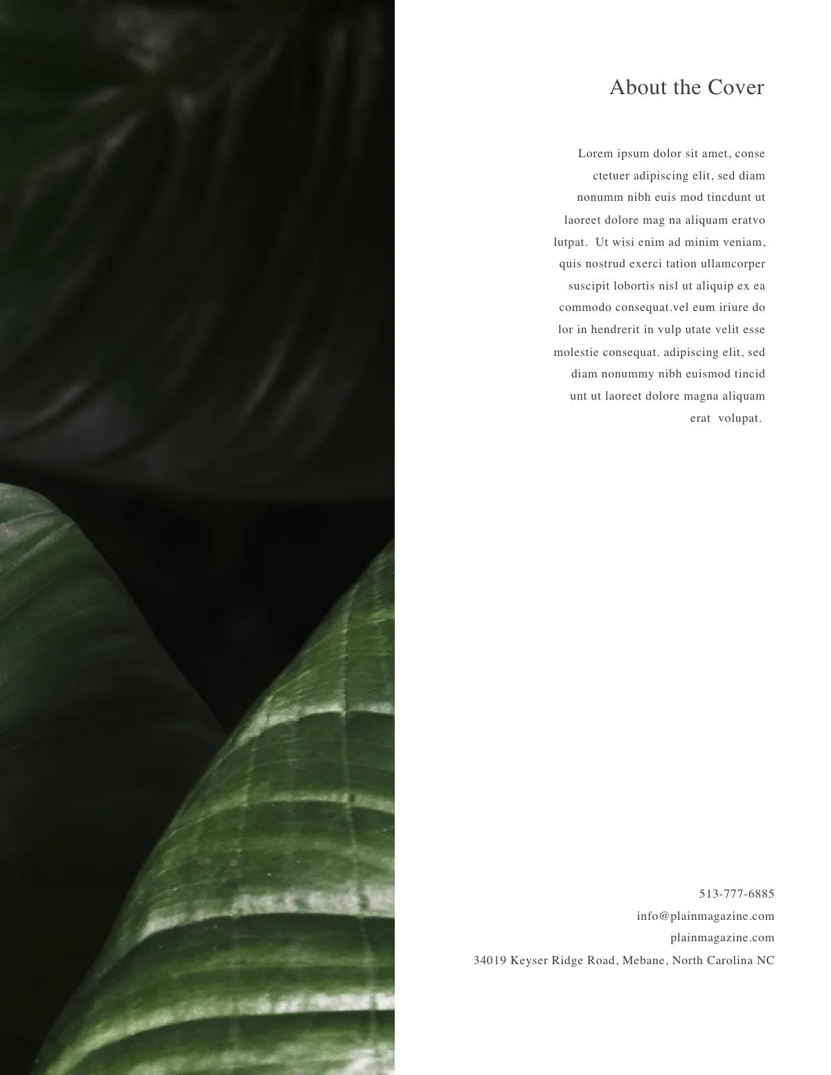 Free Minimalist Lookbook Magazine Template to Edit Online