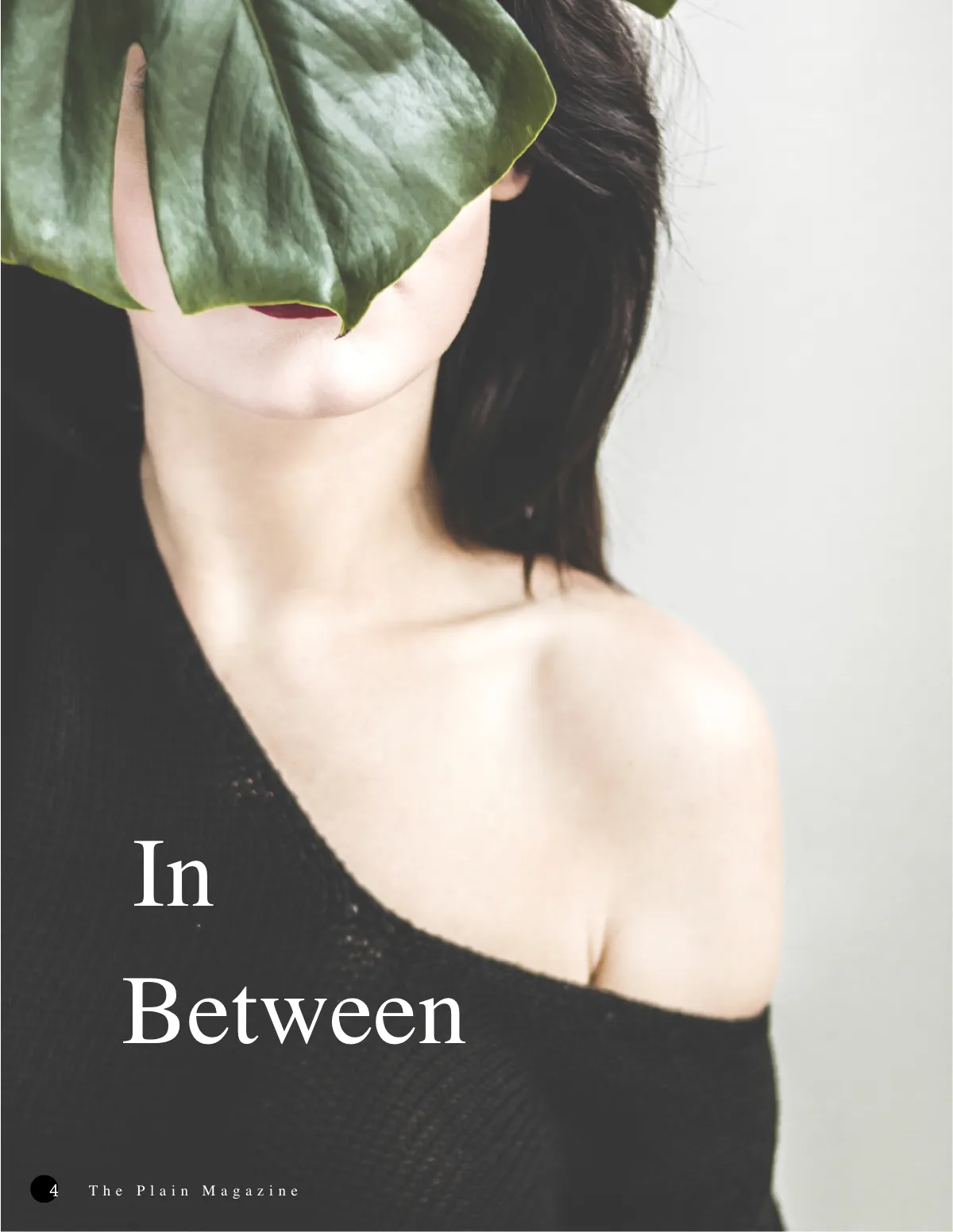 Free Minimalist Lookbook Magazine Template to Edit Online