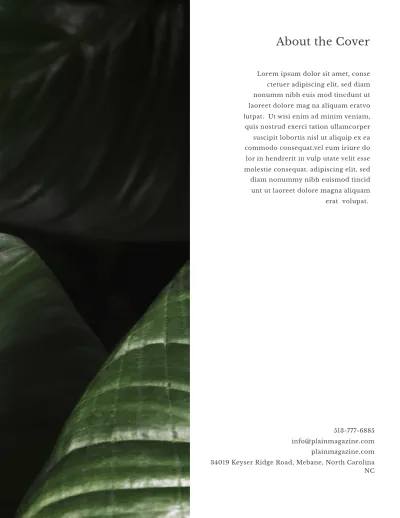 Free Minimalist Lookbook Magazine Template to Edit Online