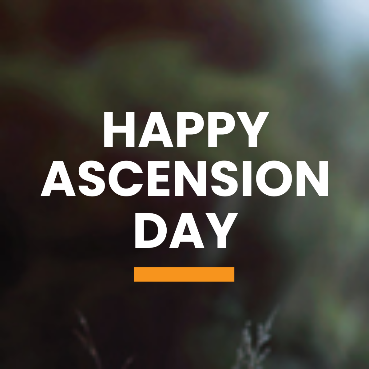 Free Ascension Day Tumblr Profile Photo Template