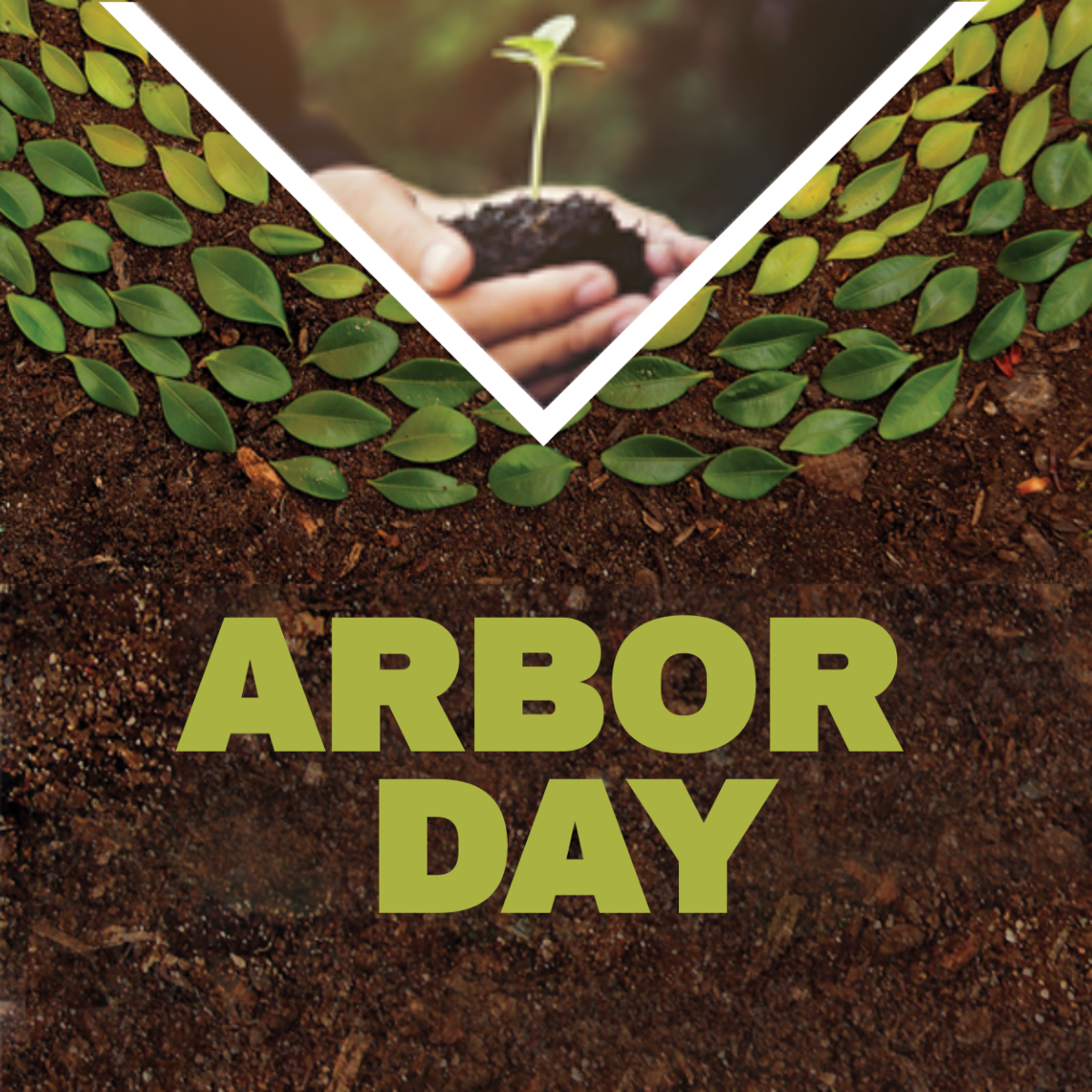 Arbor Day Google Plus Header Photo Template