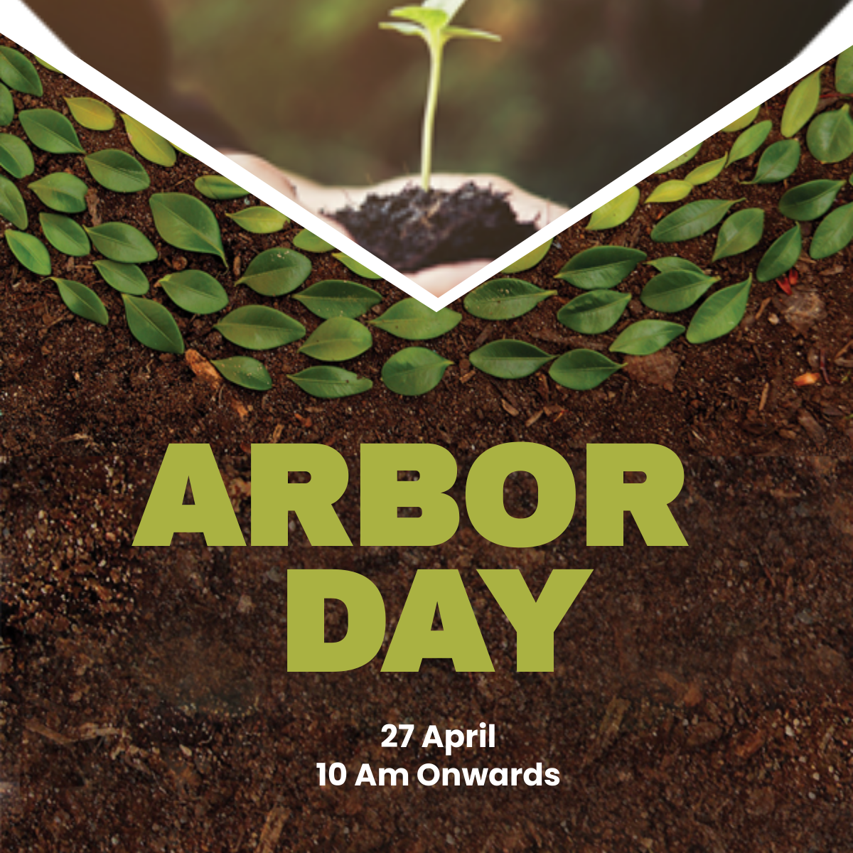 Arbor Day Twitter Profile Photo Template