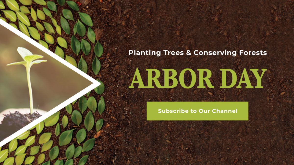 Arbor Day YouTube Channel Cover Template