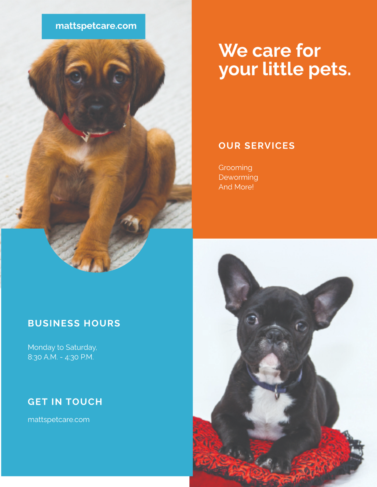 Pet Care Flyer