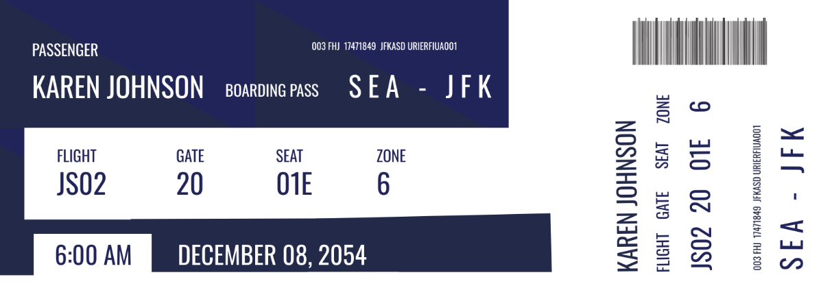 Plane Ticket