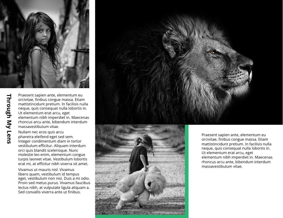 Free Photography Portfolio Brochure Template to Edit Online