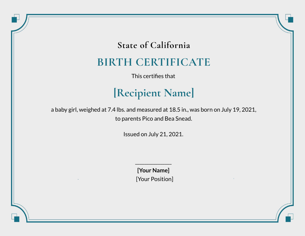Blank Birth Certificate Template