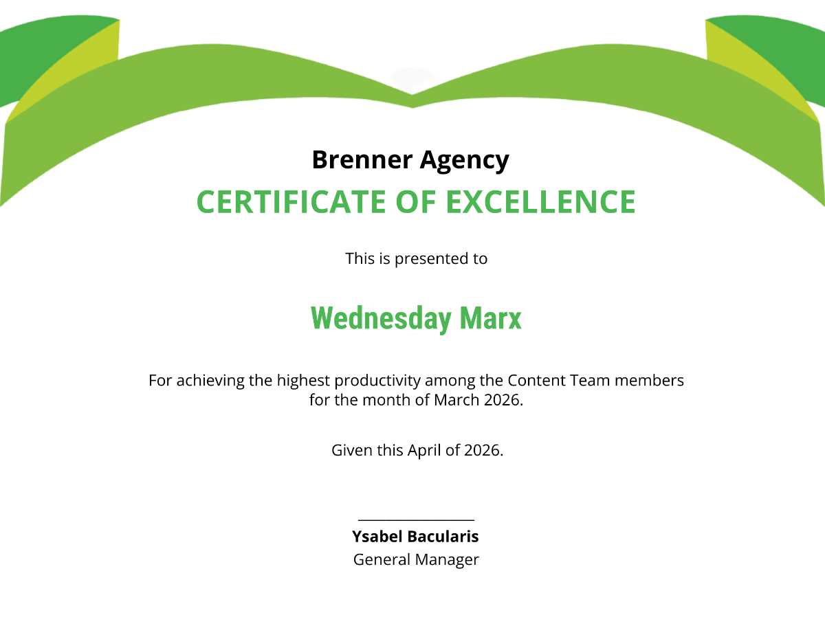 Agency Certificate of Excellence