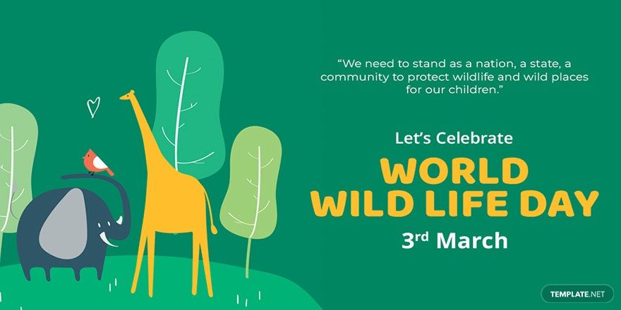 Free World Wild Life Day Twitter Post Template in PSD