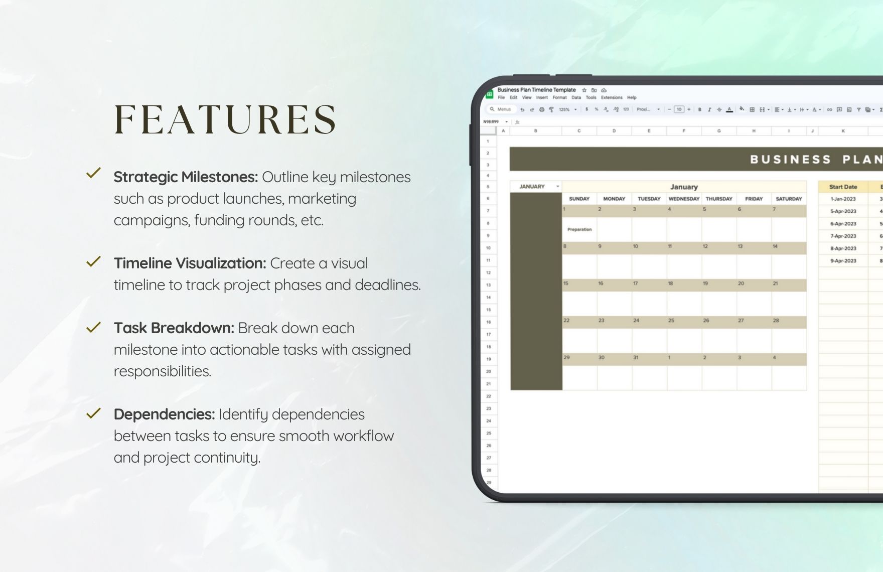 Business Plan Timeline Template