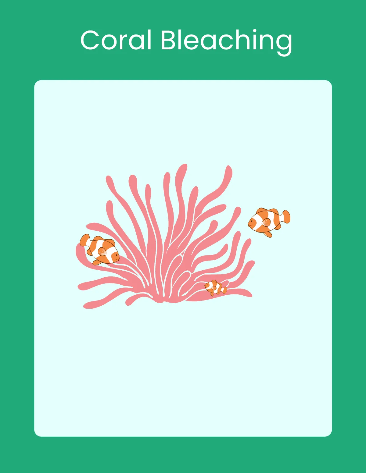 Free World Climate Flashcard Template to Edit Online