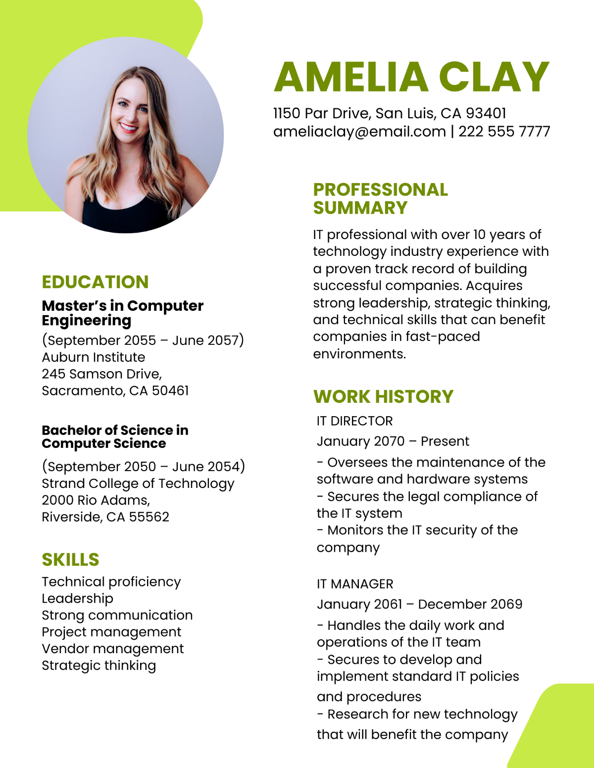 Simple Vice President of IT Resume