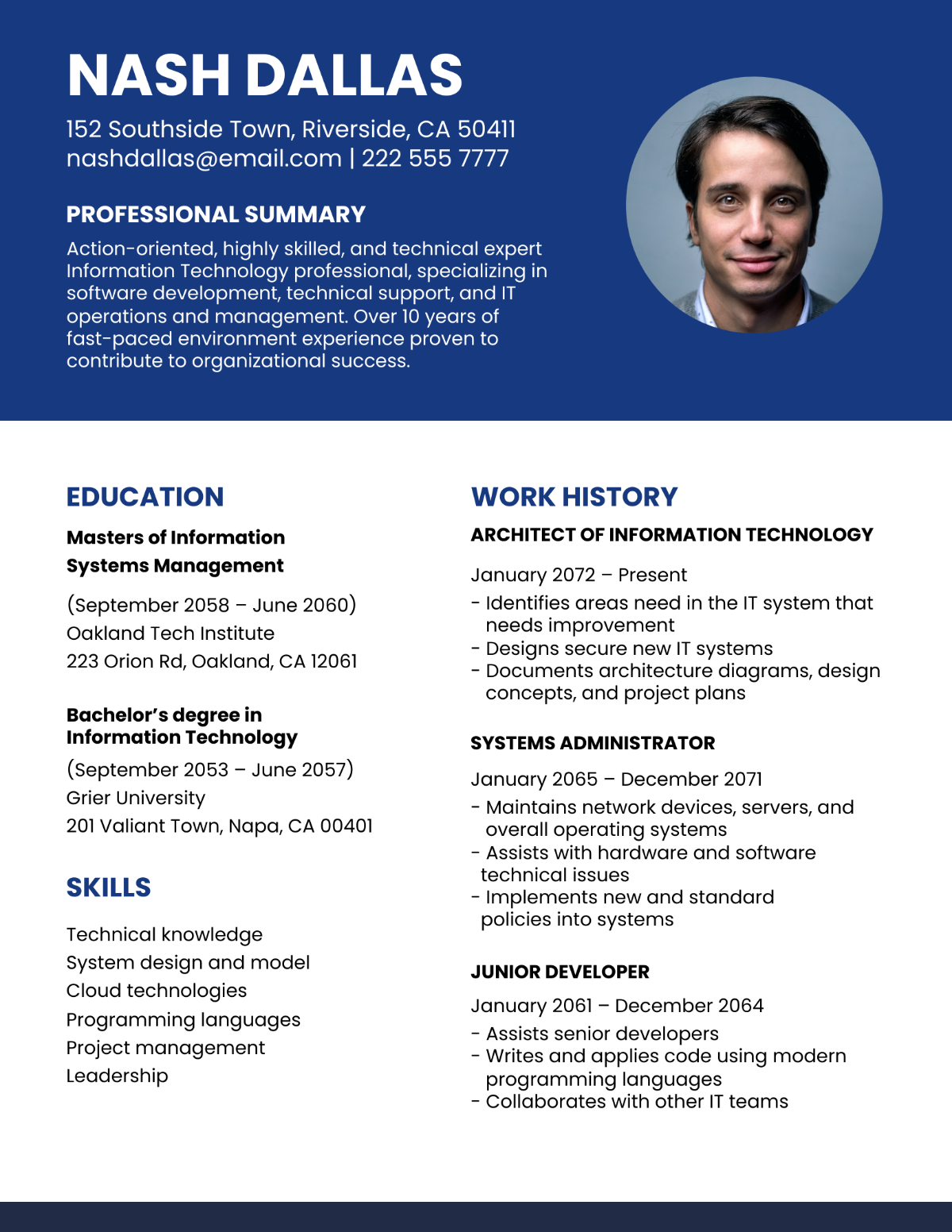 Free Vice President of IT Resume Format Template