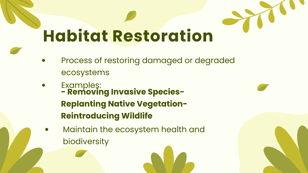 Free Exploring the Earth Presentation Template to Edit Online