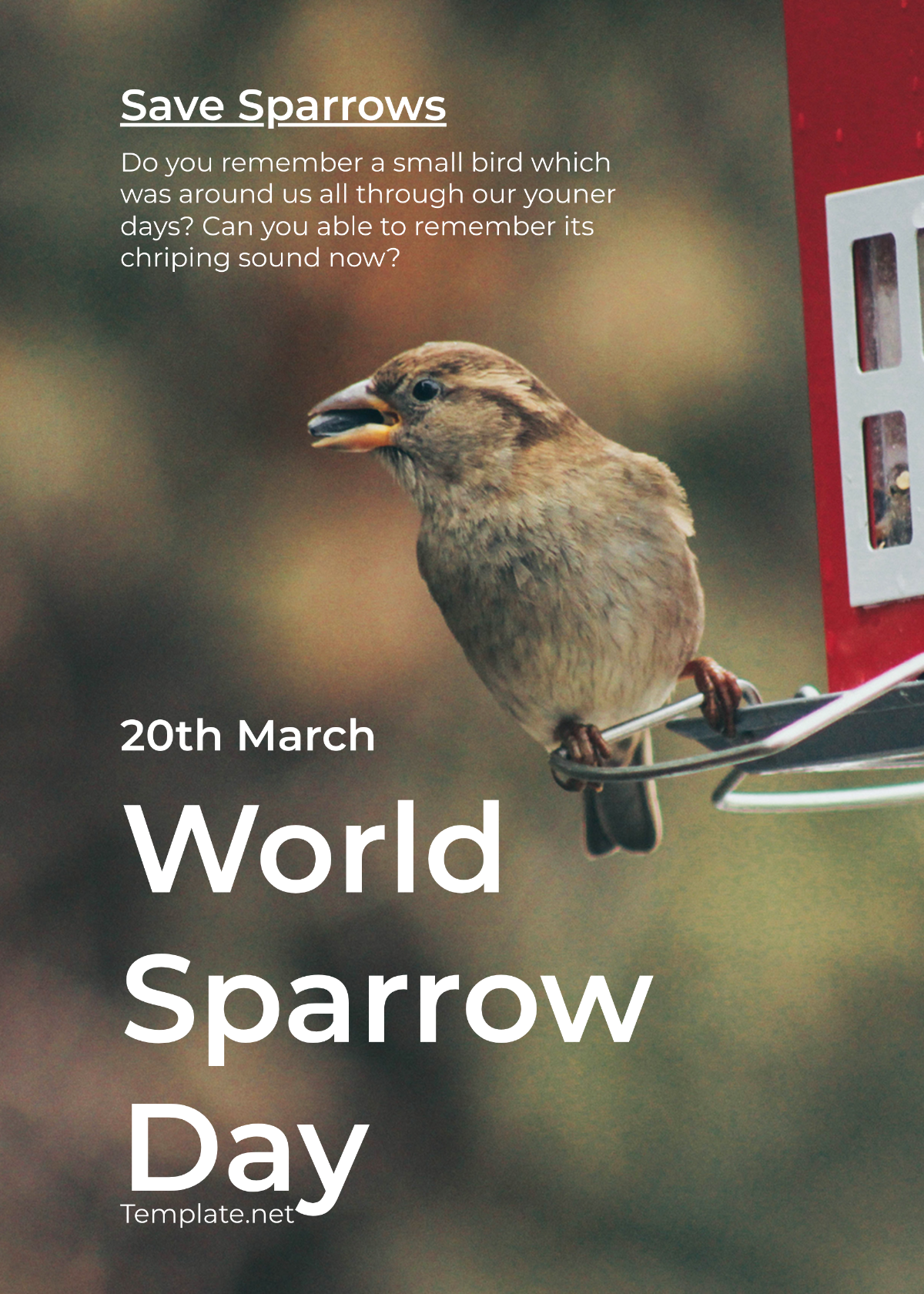 Free World Sparrow Day Greeting Card Template
