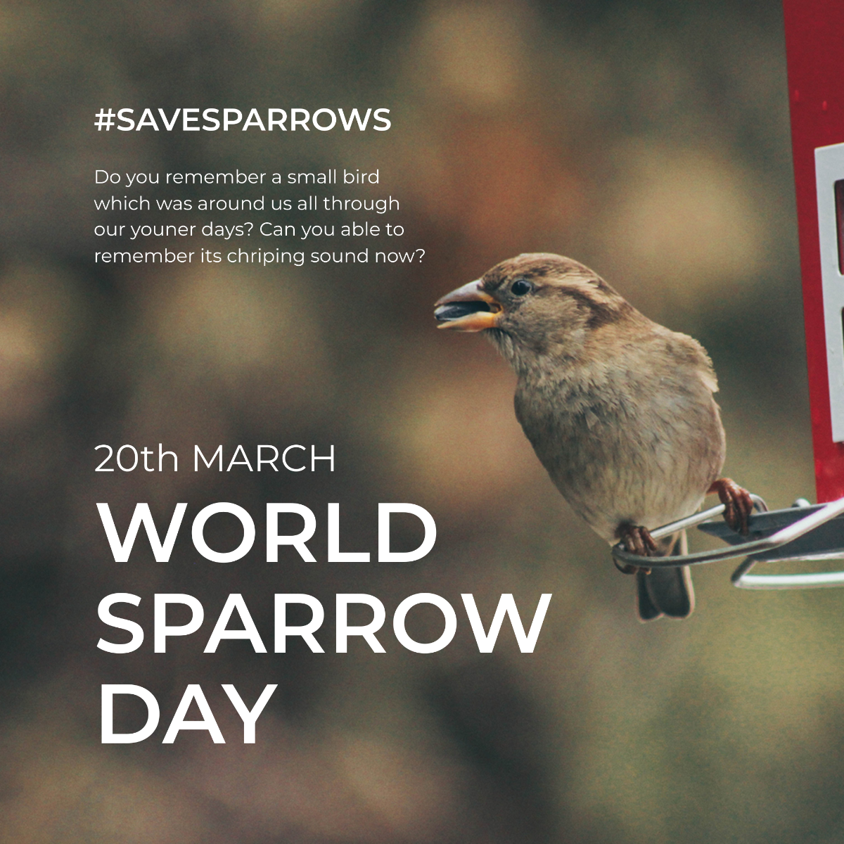 Free World Sparrow Day Instagram Post Template