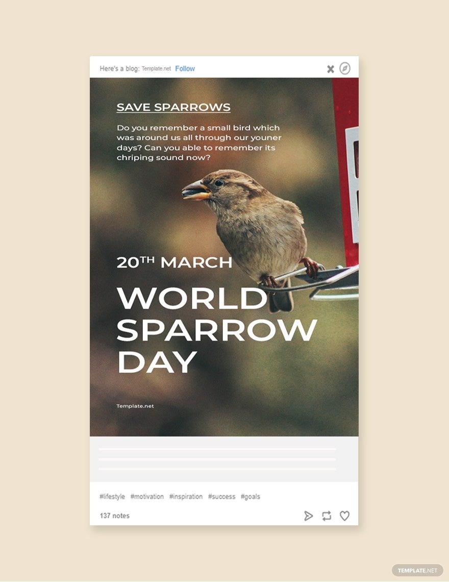 Free World Sparrow Day Tumblr Post Template in PSD