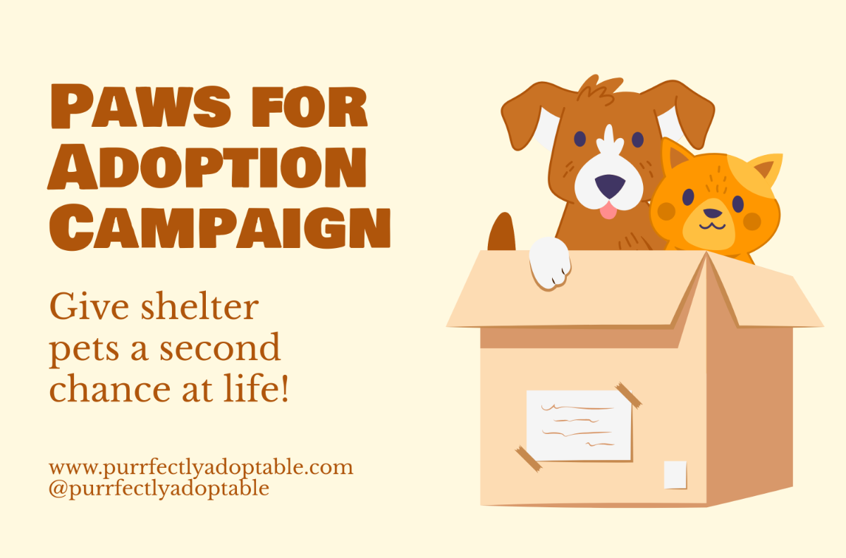 Pet Care Banner Template