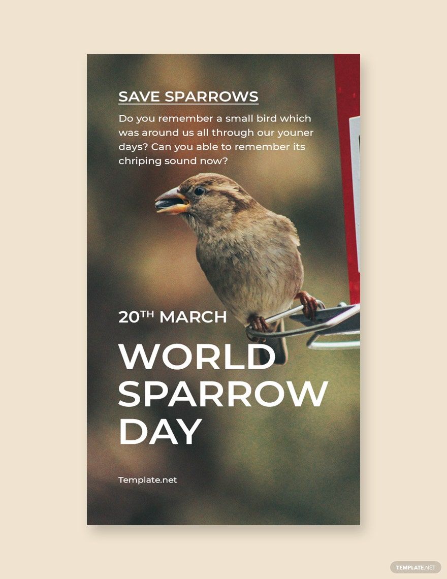 World Sparrow Day Whatsapp Post Template in PSD