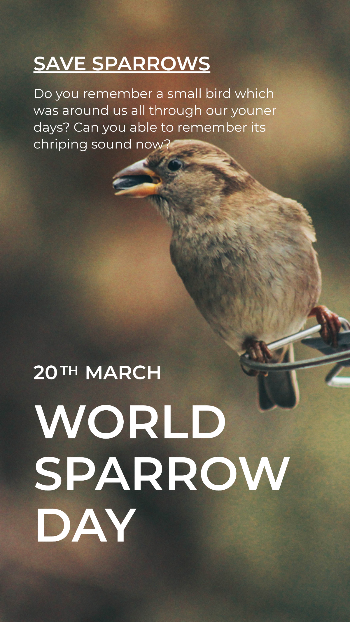 World Sparrow Day Whatsapp Post Template