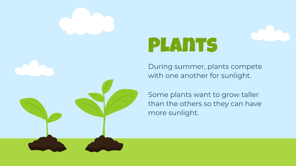 Free Summer Presentation Template to Edit Online