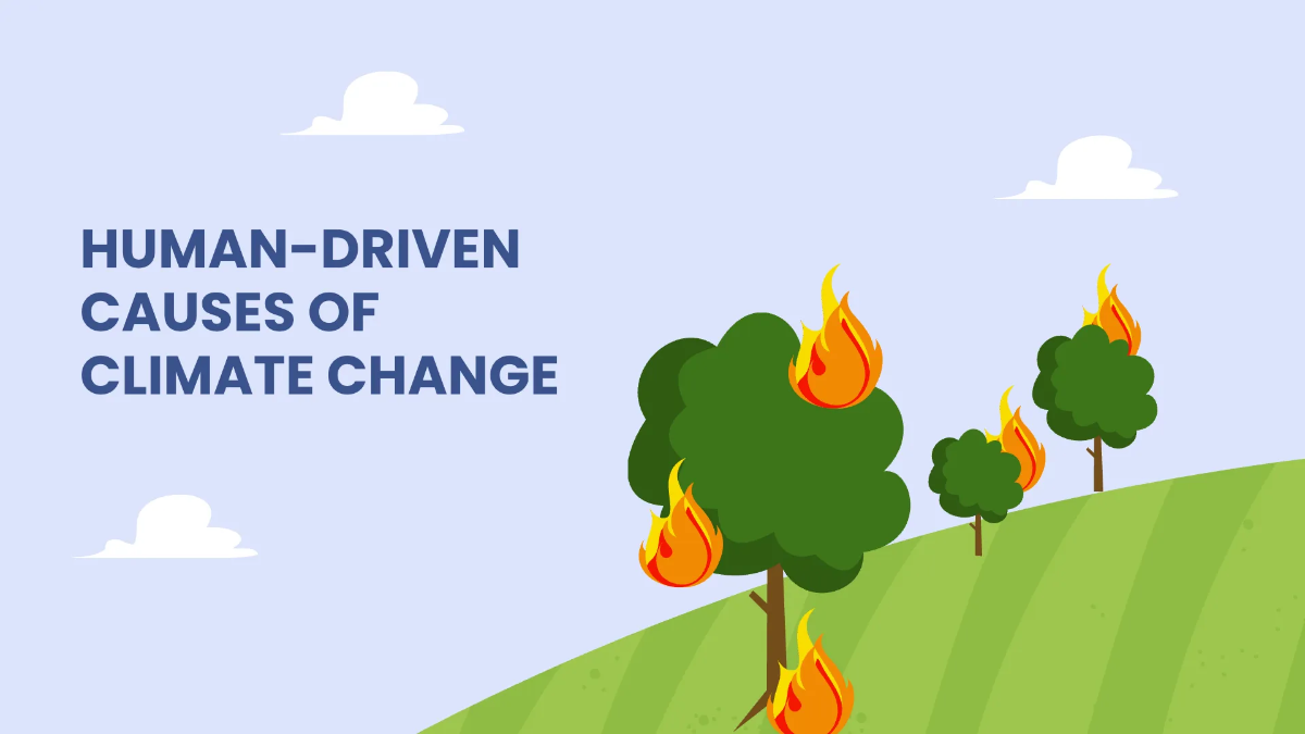 Free Causes Of Climate Change Presentation Template to Edit Online