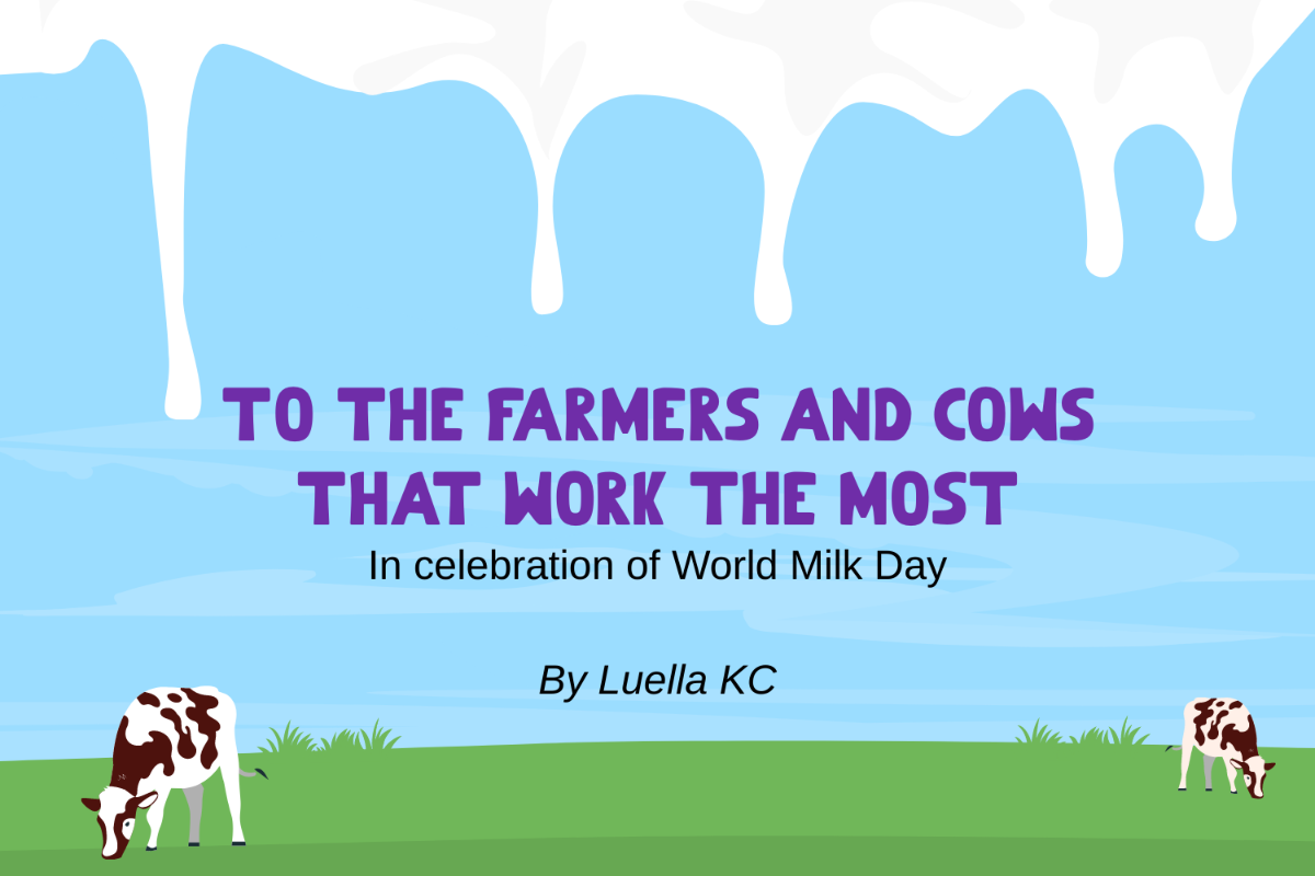 World Milk Day Blog Banner