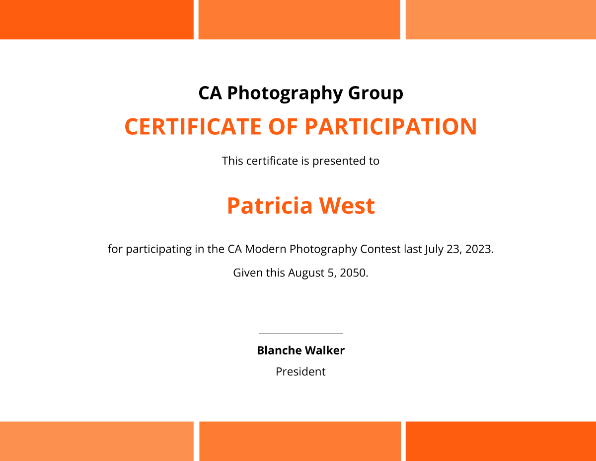 Modern Photography Participation Certificate