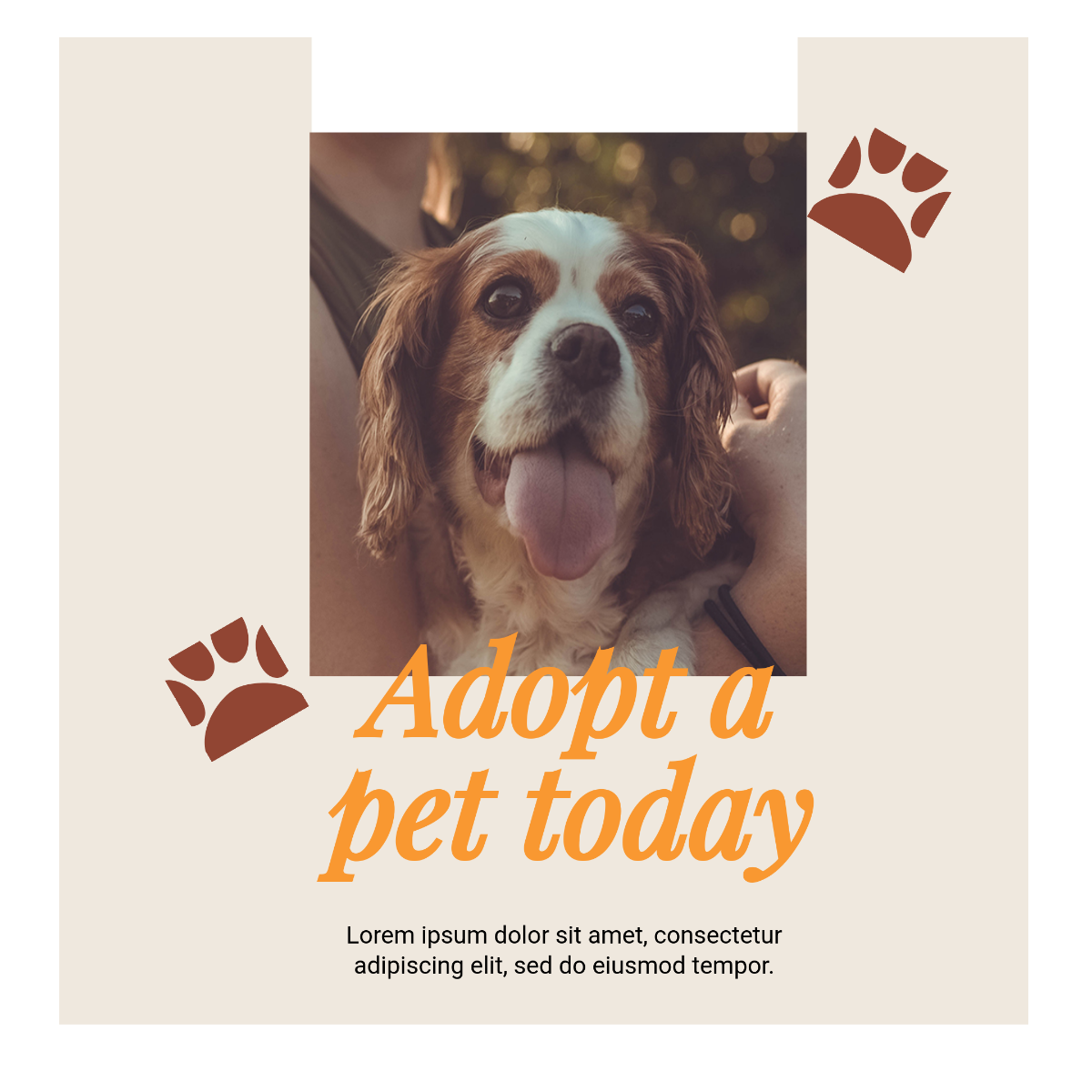 Free Pets Instagram Ad Template to Edit Online