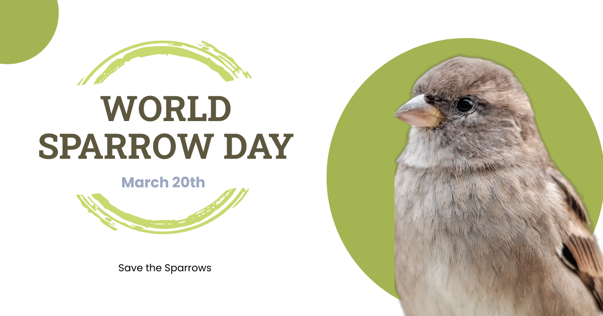 Free World Sparrow Day Linkedin Post Template