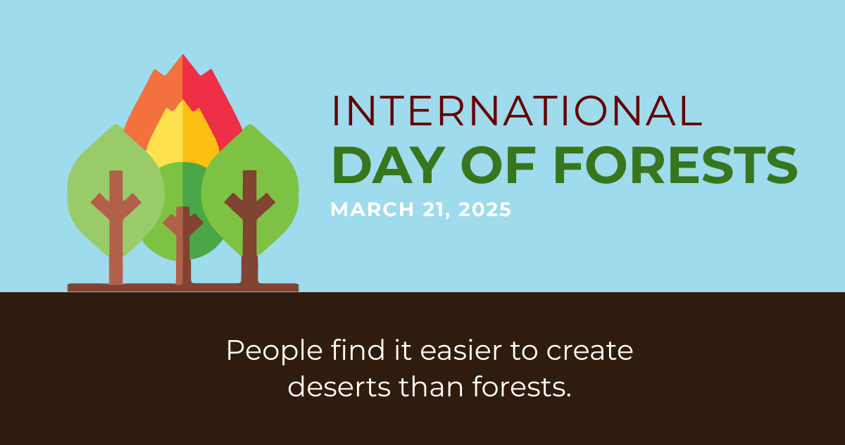 Free International Day For Forests Facebook Post Template