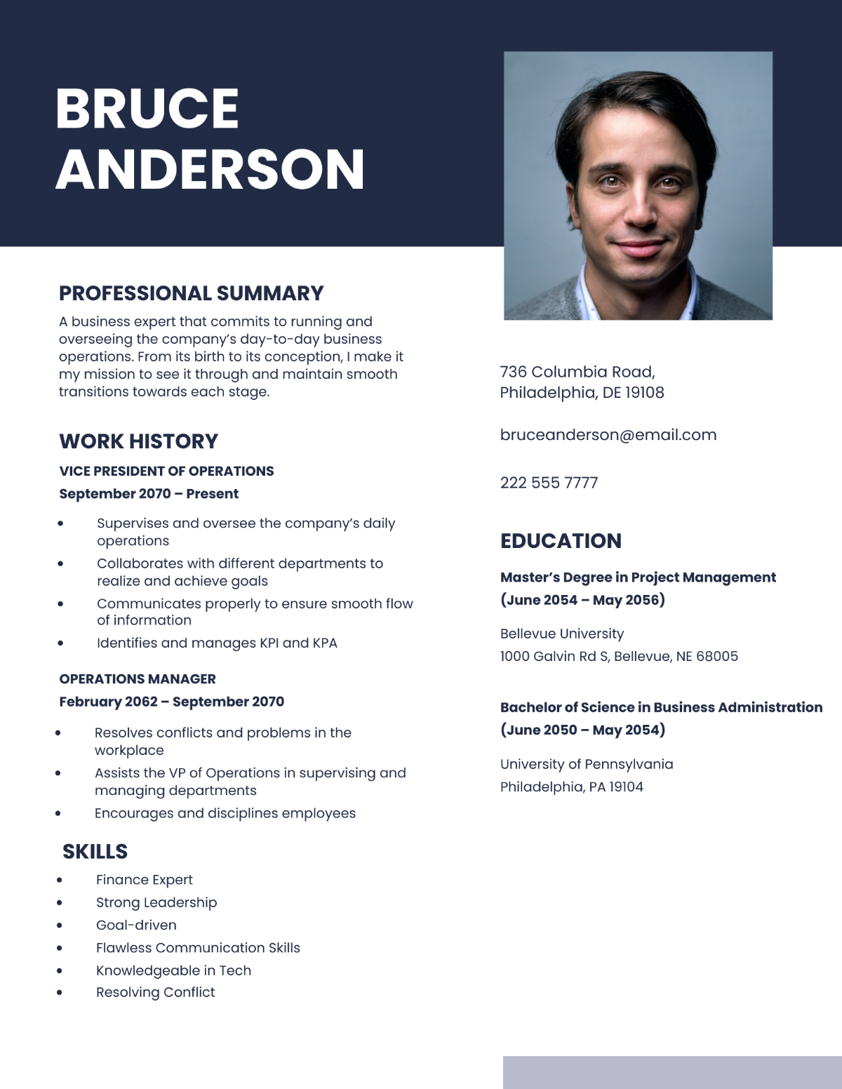 Free Vice President Of Operations Resume
