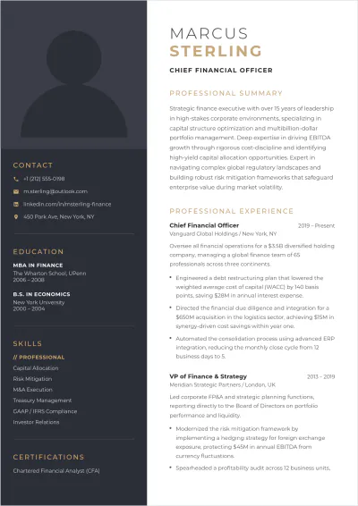 Free Vice President Of Finance ATS Resume Template, AI Resume Builder