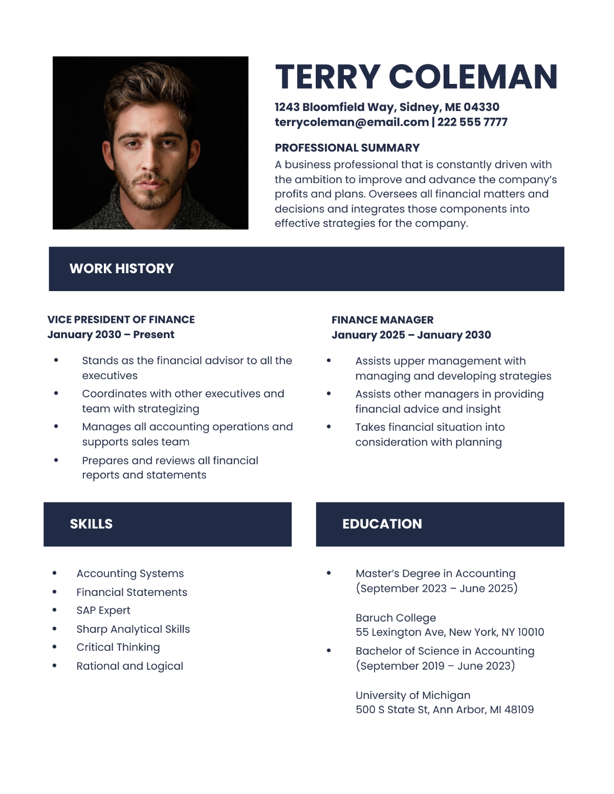 Vice President Of Finance Resume Template