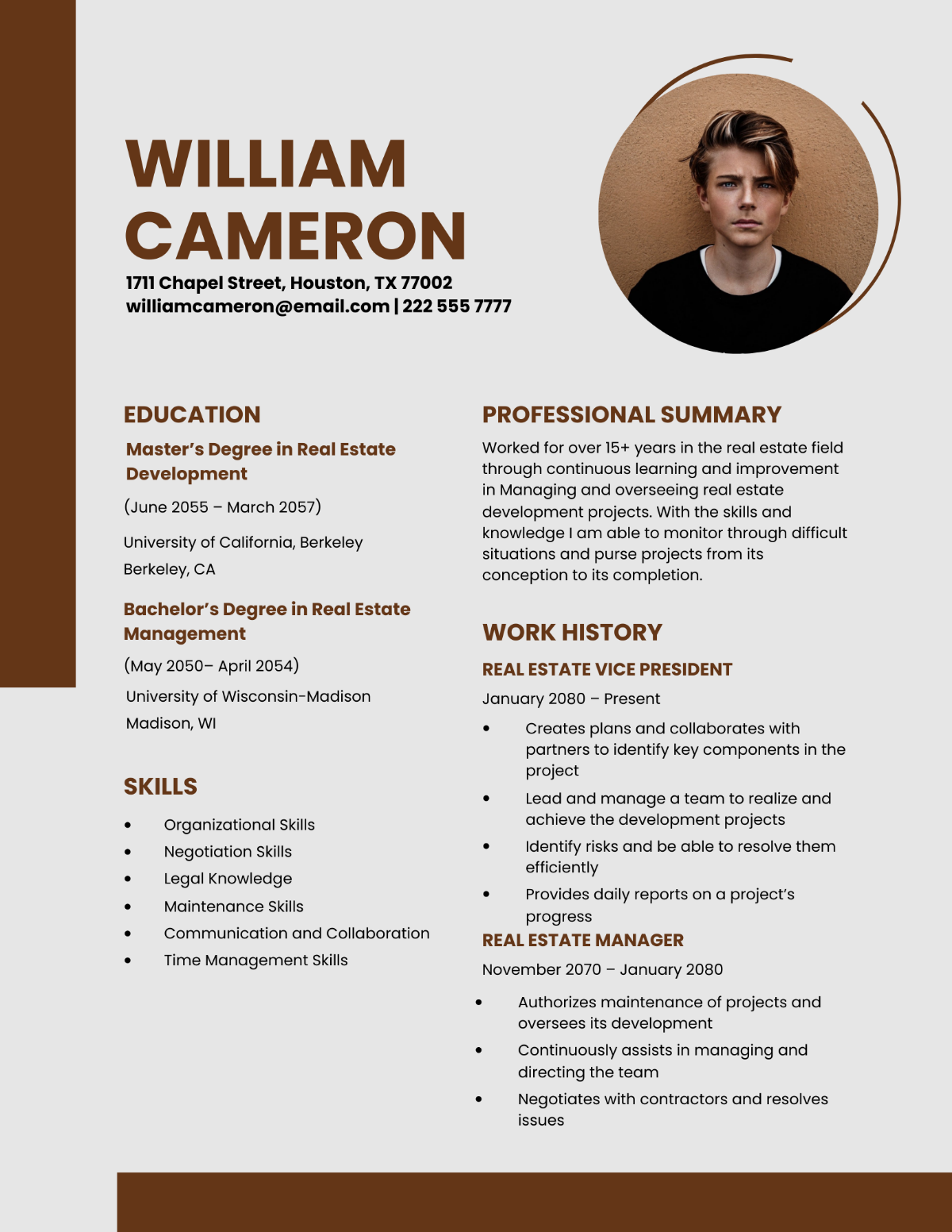Real Estate Vice President Resume Template