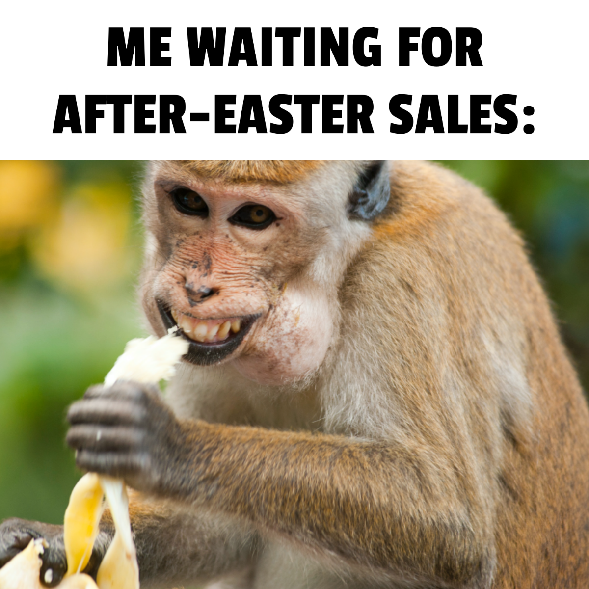 Free Easter Sale Meme Template