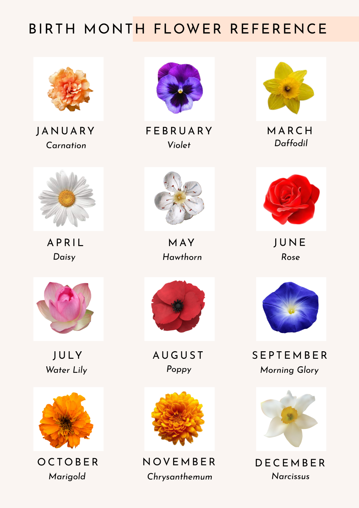 Month Flower Chart Template