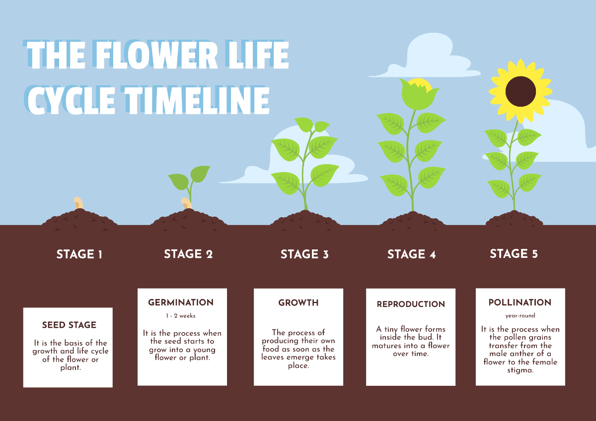 Free Flowers And Leaves Timeline Chart Template