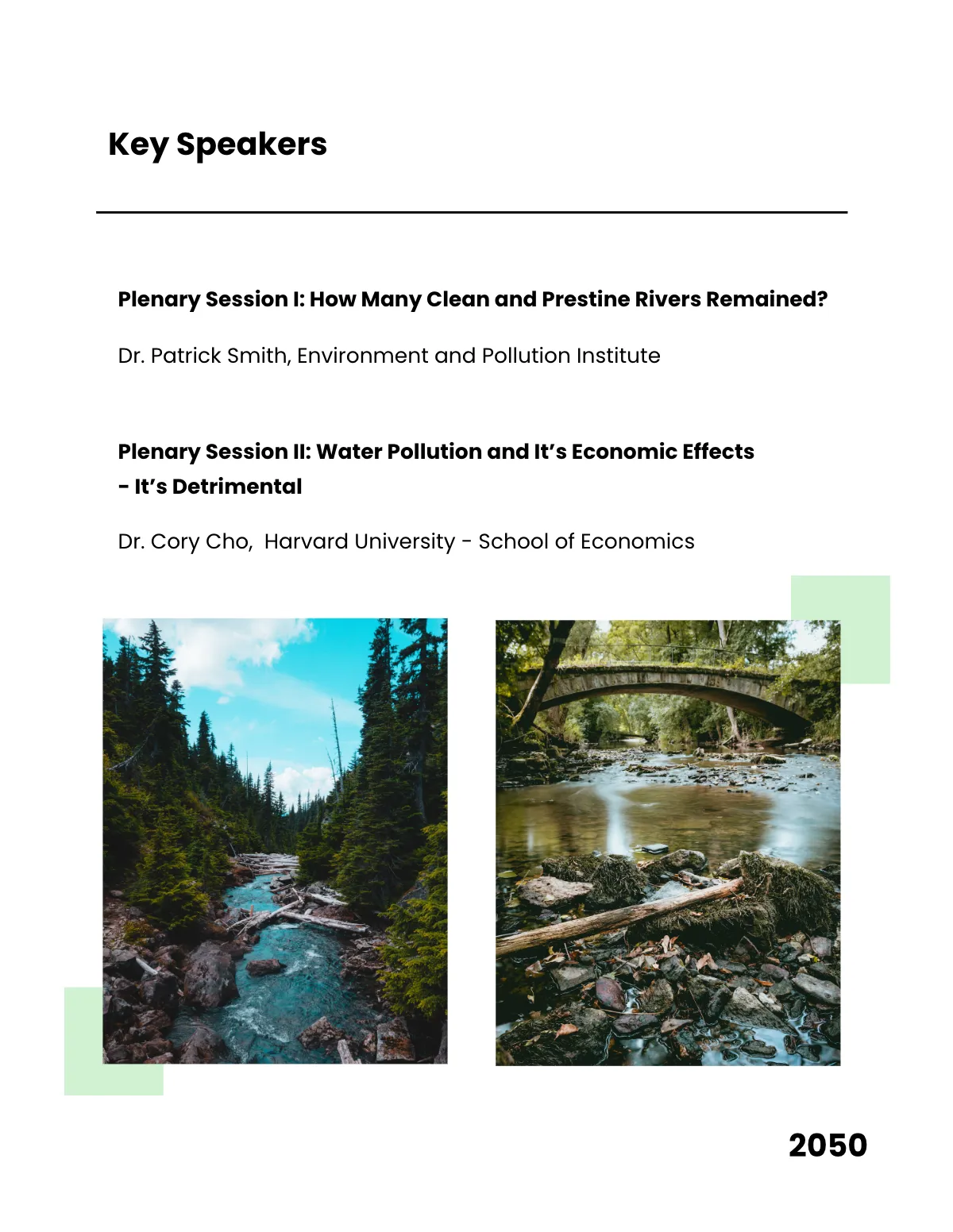 Free Academic Conference Report Template to Edit Online